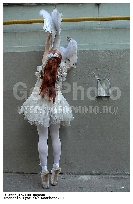 ��������, ������������, ����, �����������, ��������, ���������, �����, ����������, ��������, �������, ����