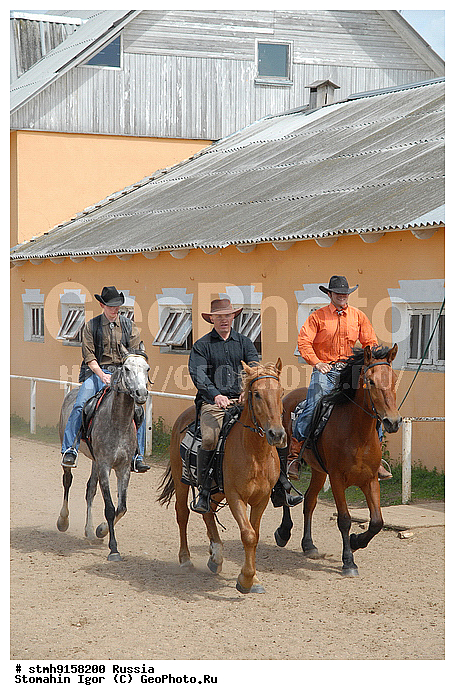 """���������, ������, ������, 2008"",������, ����, ""��������"", ������������, ��������"