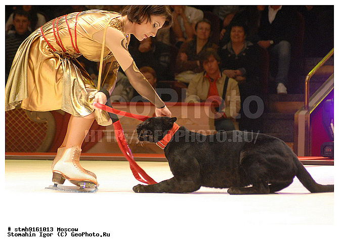 "����������, ����,�������, ��������, ��������, ���������, ""����,����"",������:, �����, ��������, �, ��������"