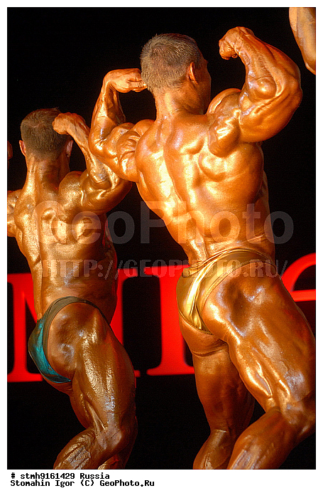 "���, ""�������"",�����, ������, ������, �������������, ����-���, ""�������, �������"", ������������,������:, �����������, �����������"