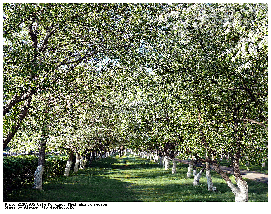 �����  �������, ����������� �������, ����, ����� ����