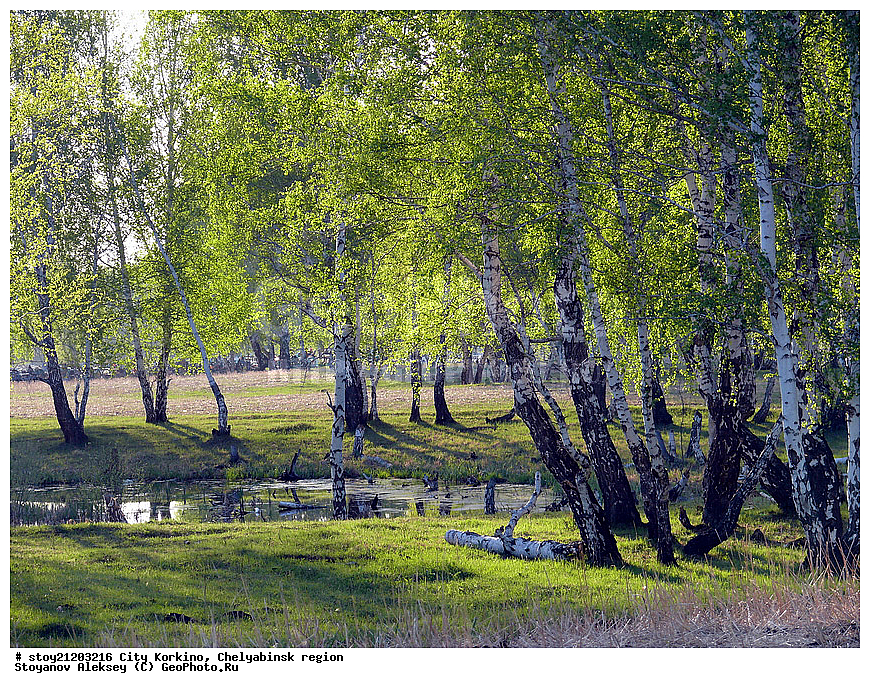 �����  �������, ����������� �������, ����, ����� ����