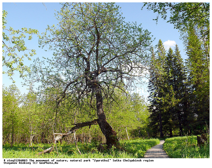 �������� �������, ��������� ���� "���������", ���������� ����� ����������� �������, ���������� �����, ����������� �������,  ����������� �������, ����, ����� ����