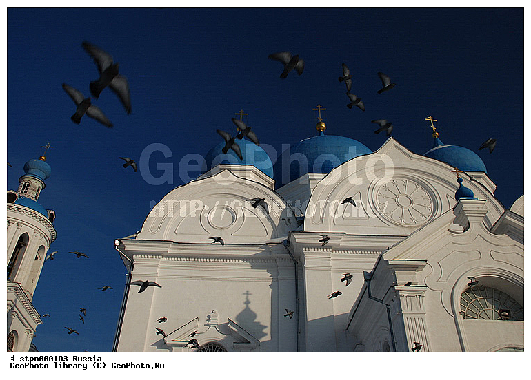 ����������, ������, �����������, ��������� �����������, ������, ����, �������, �����, �������, �����, ����, ������������ ����, ������������, �������