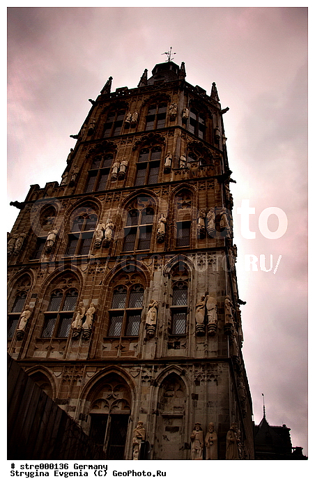 ��������, ���-��������, ����, �����