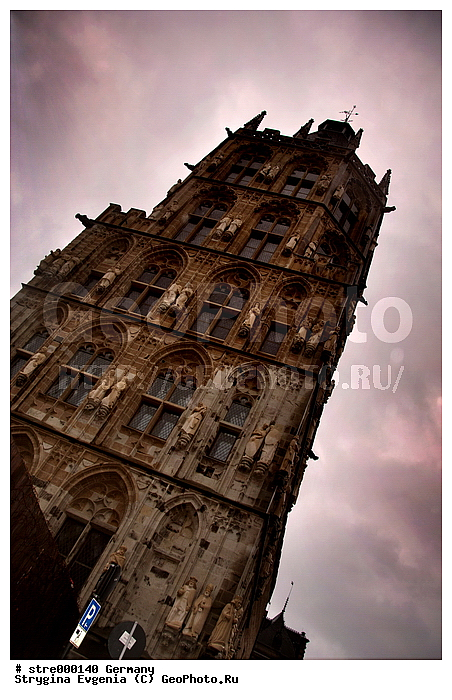 ��������, ���-��������, ����, �����