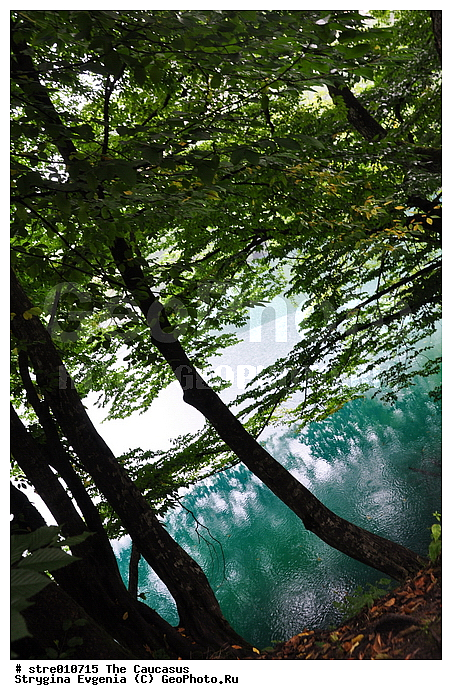 ������, ���-��������, ������� ����, �������, ������