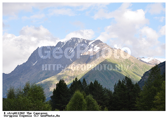 ������, ���-��������, ����, �������, ���, ����