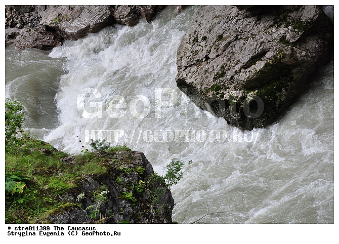 ������, ����, ���-��������, �����