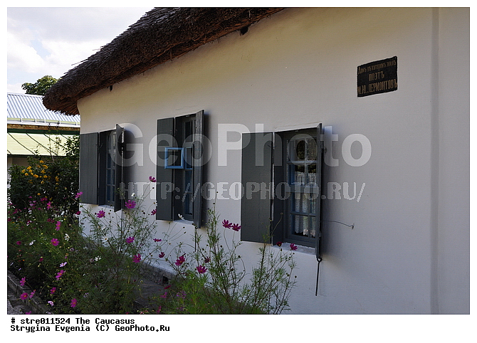 ���, ������, ���������, ����, �����, ���-��������