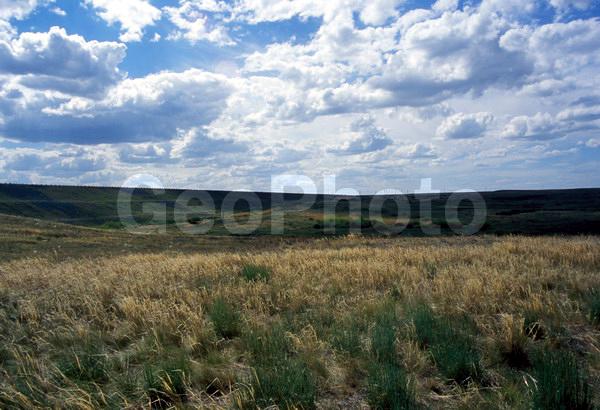 ���������, ������������ �������������, �������, ������������, �������, �����, �����