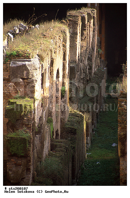 ������, �������, ���, ���������