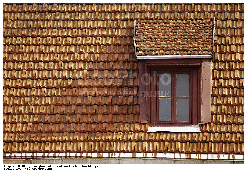 ����, ���, ��������� ��������, ����������� ��������, ��������, �����, ����, ��������, ������, �����, �������, ������, ���������, �����������, ������, ������, ������, �����, ��������, ������