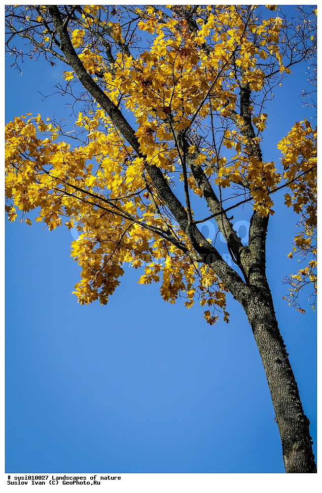 ������, �������, ������, ������, �����, ����, �����, ������, ����, �������