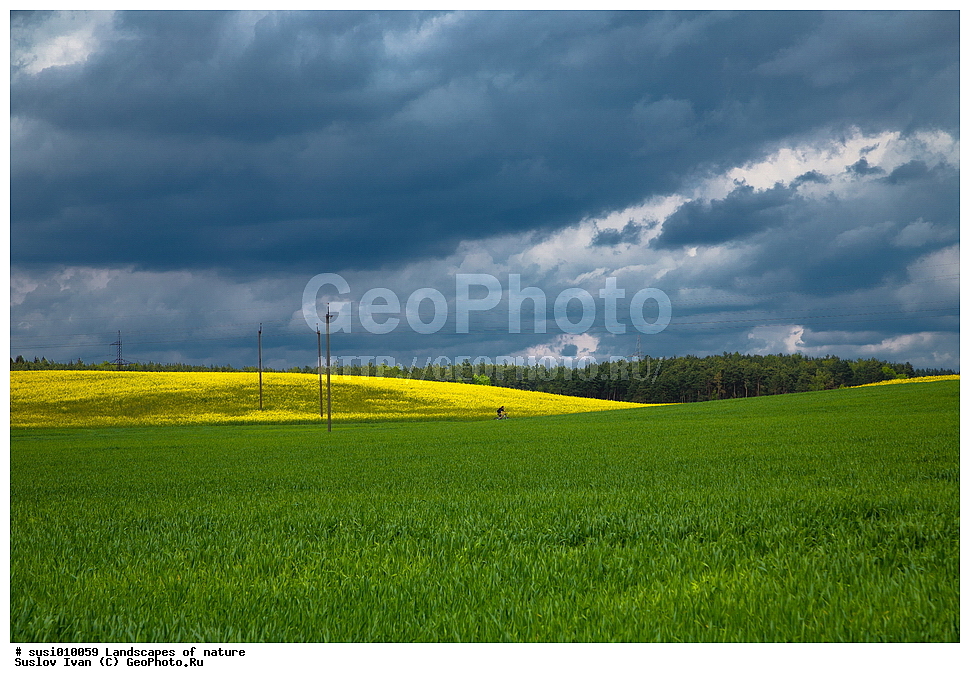 ������, �������, ����, ����, ����, ��������, �������, �����, ��������, ����, ������, ����, ������, ����, ���������, ������������