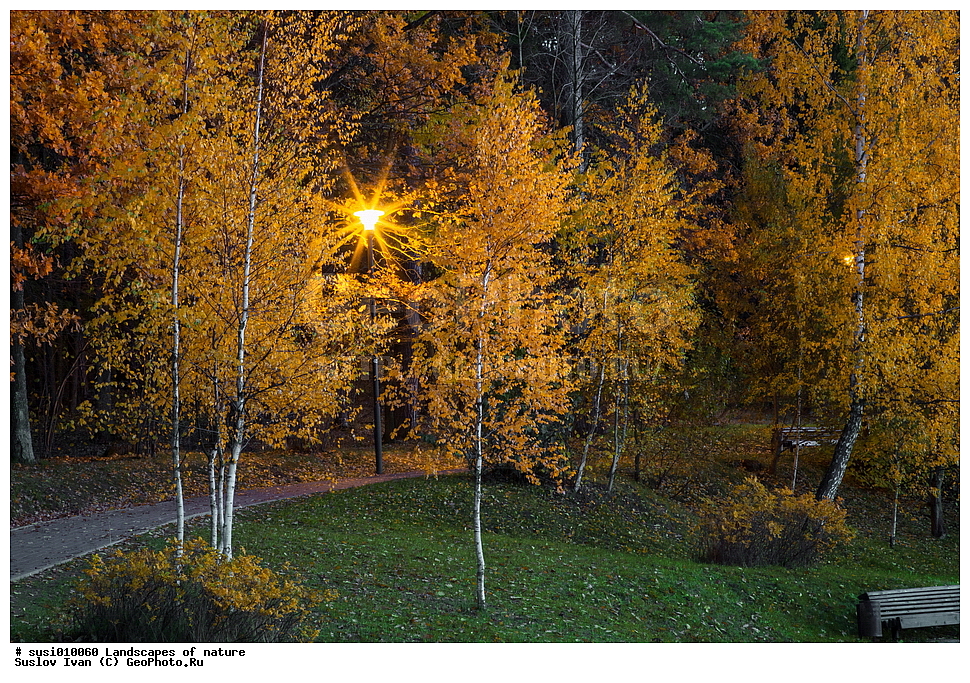 ������, �������, Park, lantern, tree, light, evening, fall, October, bench, leaves