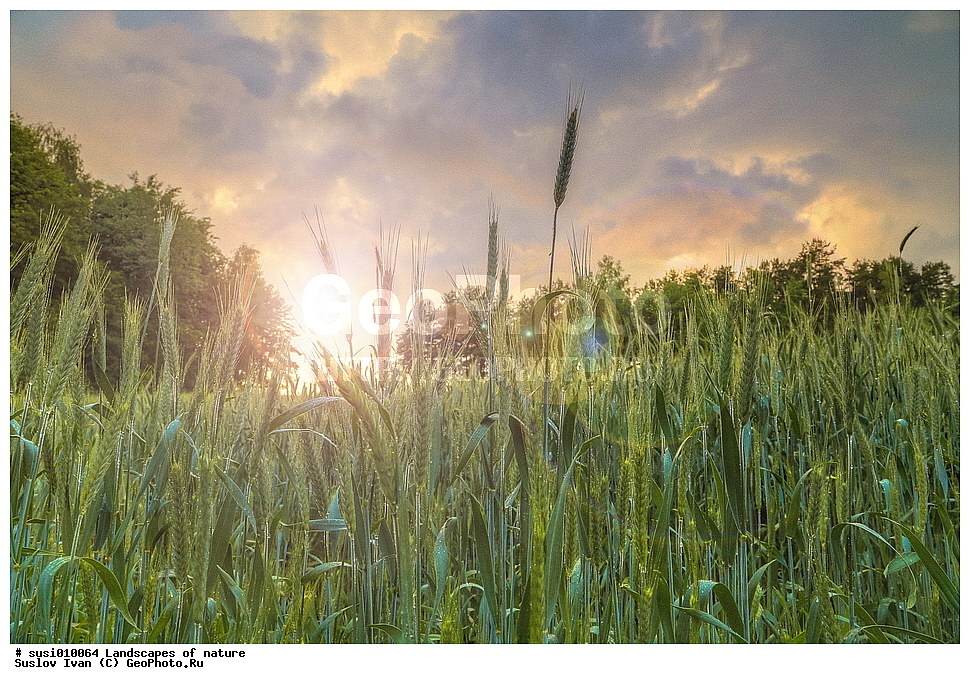 ������, �������, �������, ����, ������, �����, ������, ����, �����, ������, ��������