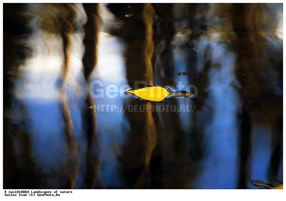 ������, �������, ����, ����, ����, �����, ������, ���������, ����, ���, ��������