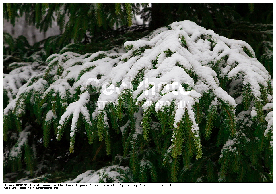 ����, �������, ������, �������, �����, ����, ����, ���, �����, ����, ����, ��������, 2015, ���, �����, �������