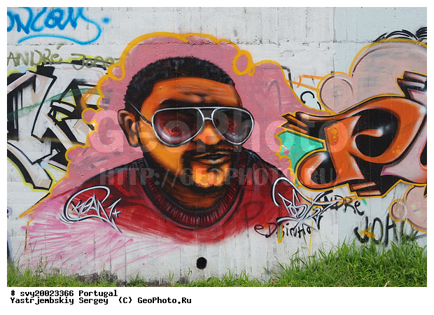 ����������