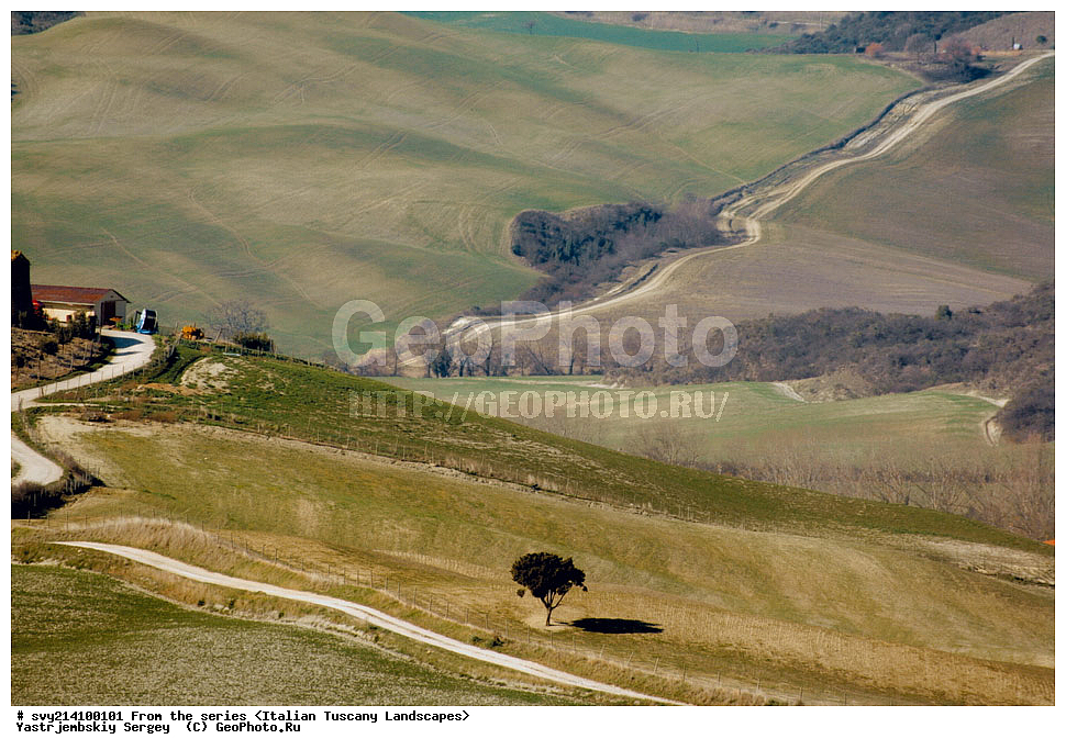 ������, ������, �������