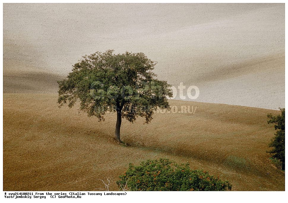 ������, ������, �������