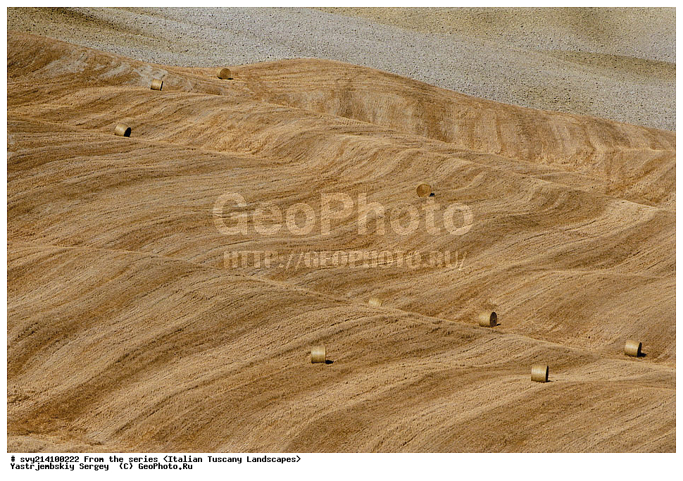 ������, ������, �������