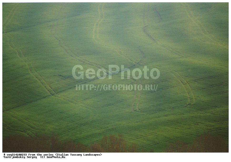 ������, ������, �������