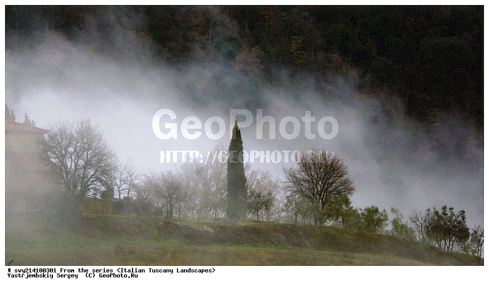 ������, ������, �������