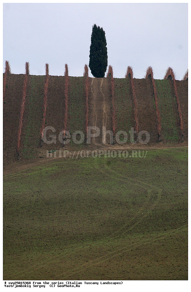 ������, ������, �������