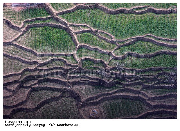 �������, �����, ����������, ��������, ����, ��������, ����