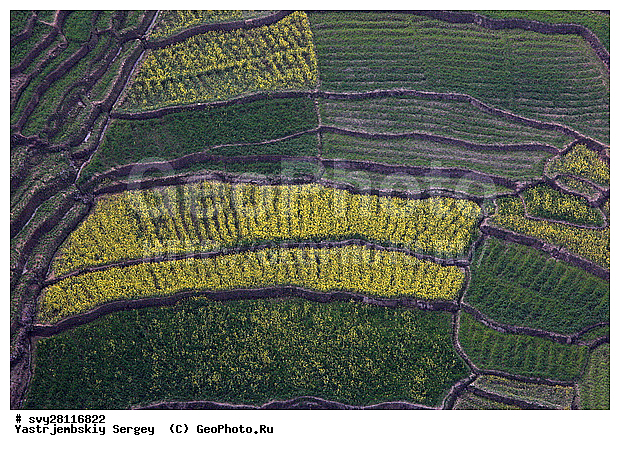 �������, �����, ����������, ��������, ����, ��������, ����