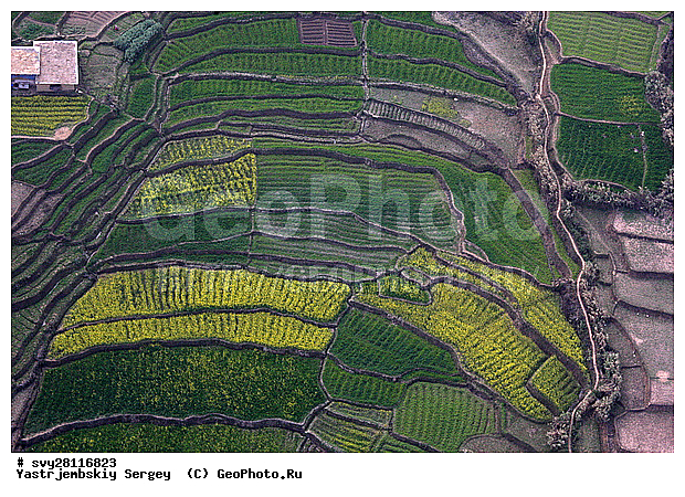 �������, �����, ����������, ��������, ����, ��������, ����