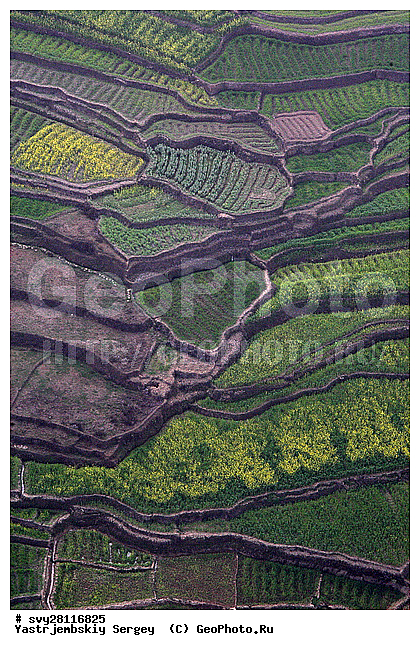 �������, �����, ����������, ��������, ����, ��������, ����