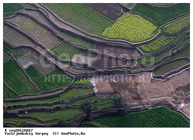 �������, �����, ����������, ��������, ����, ��������, ����