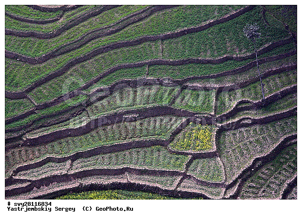 �������, �����, ����������, ��������, ����, ��������, ����