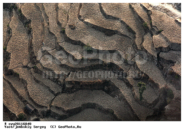 �������, �����, ����������, ��������, ����, ��������, ����