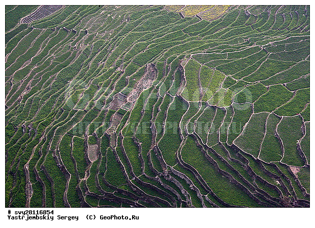 �������, �����, ����������, ��������, ����, ��������, ����