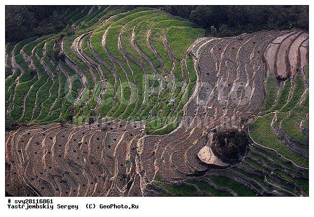 �������, �����, ����������, ��������, ����, ��������, ����