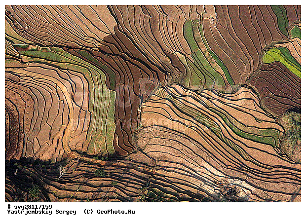 �������, �����, ����������, ��������, ����, ��������, ����