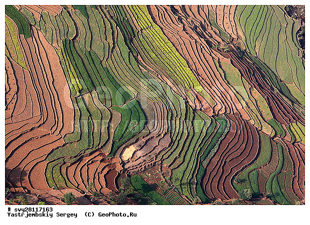 �������, �����, ����������, ��������, ����, ��������, ����