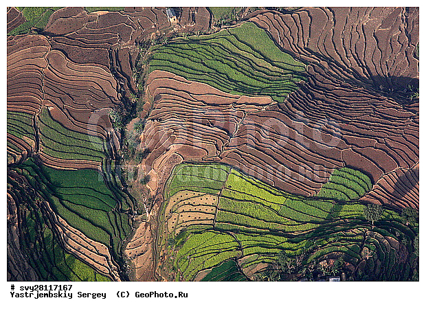 �������, �����, ����������, ��������, ����, ��������, ����