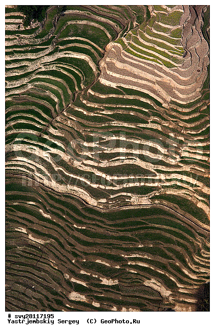 �������, �����, ����������, ��������, ����, ��������, ����