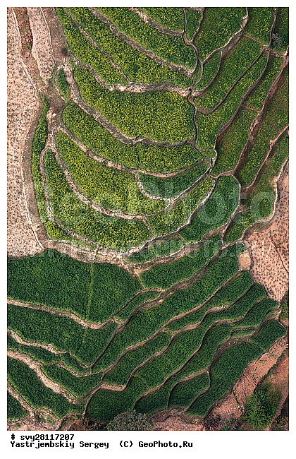 �������, �����, ����������, ��������, ����, ��������, ����