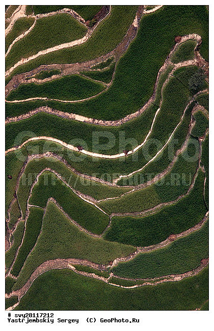 �������, �����, ����������, ��������, ����, ��������, ����