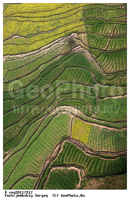 �������, �����, ����������, ��������, ����, ��������, ����