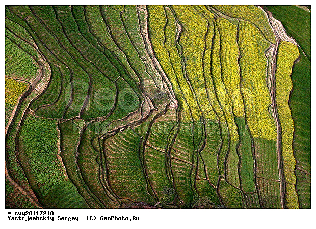 �������, �����, ����������, ��������, ����, ��������, ����