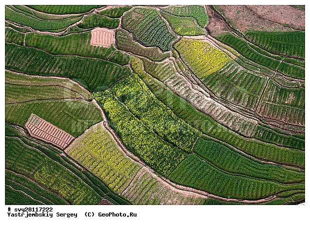 �������, �����, ����������, ��������, ����, ��������, ����