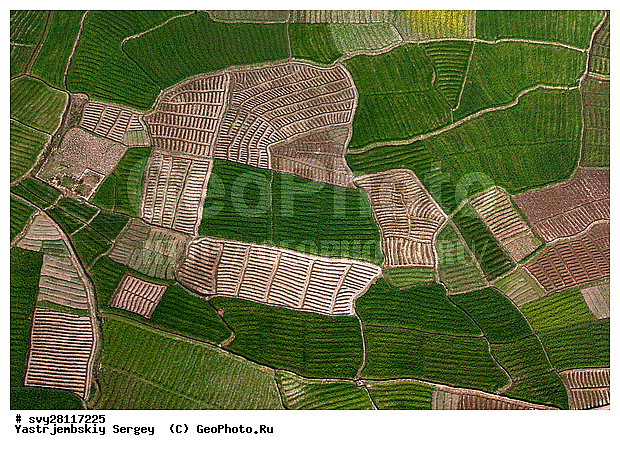 �������, �����, ����������, ��������, ����, ��������, ����