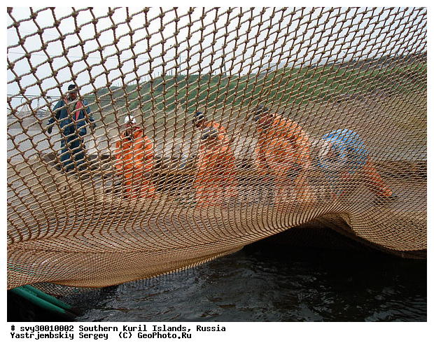 ������, ����� ������, ������